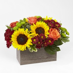 Happy Harvest Garden from Victor Mathis Florist in Louisville, KY